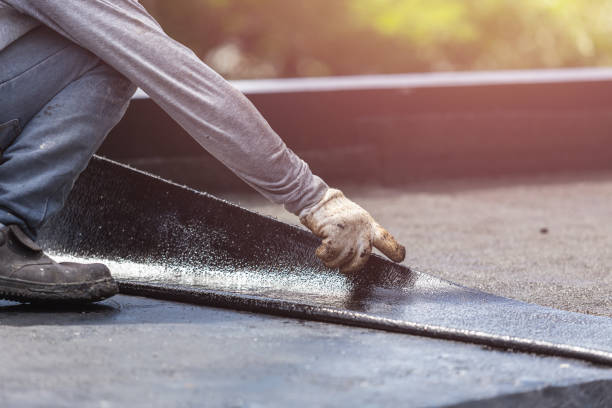 Professional Interior Drainage System technician working in Olyphant, PA